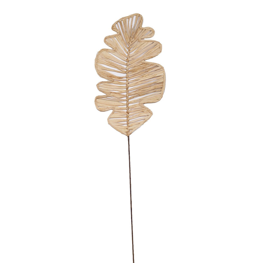 Fairview Palm DÃ©cor   Natural   8.5x20
