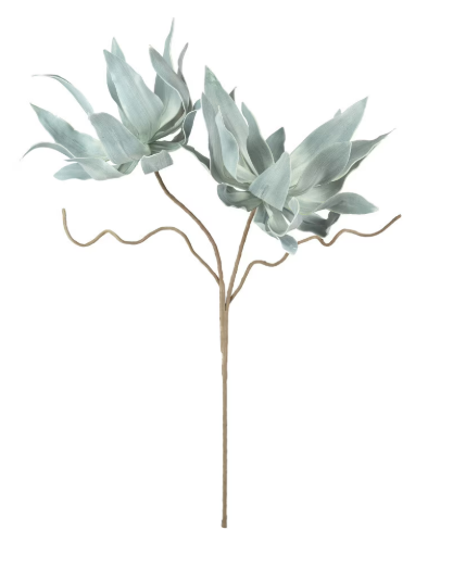 Botanica #2547