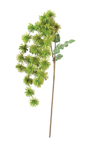 Botanica #3323