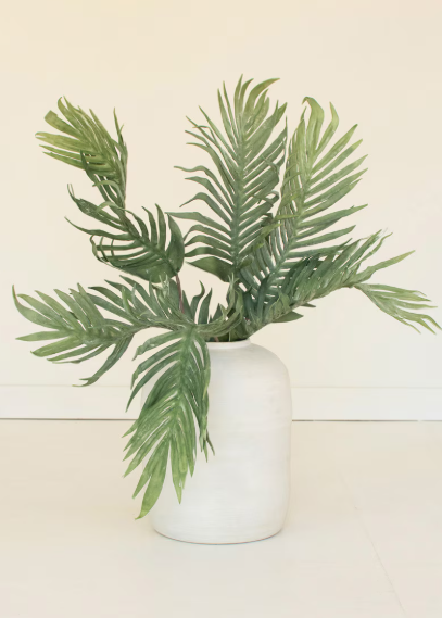 Botanica #3646