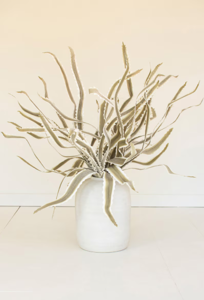 Botanica #3656