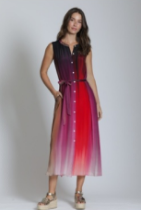 APNY Cherry Multi Dress