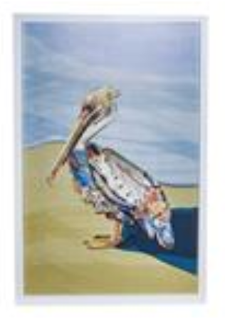Pelican Wall Art