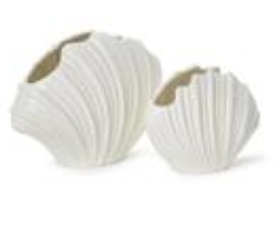 White Shell Vases