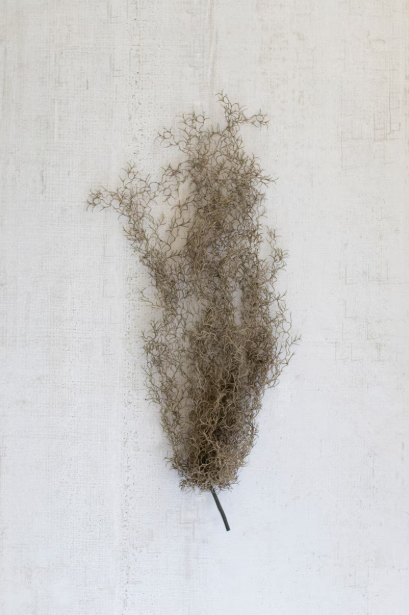 Artificial Grey Moss